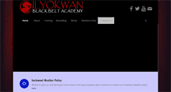 Desktop Screenshot of blackbeltacademy.info